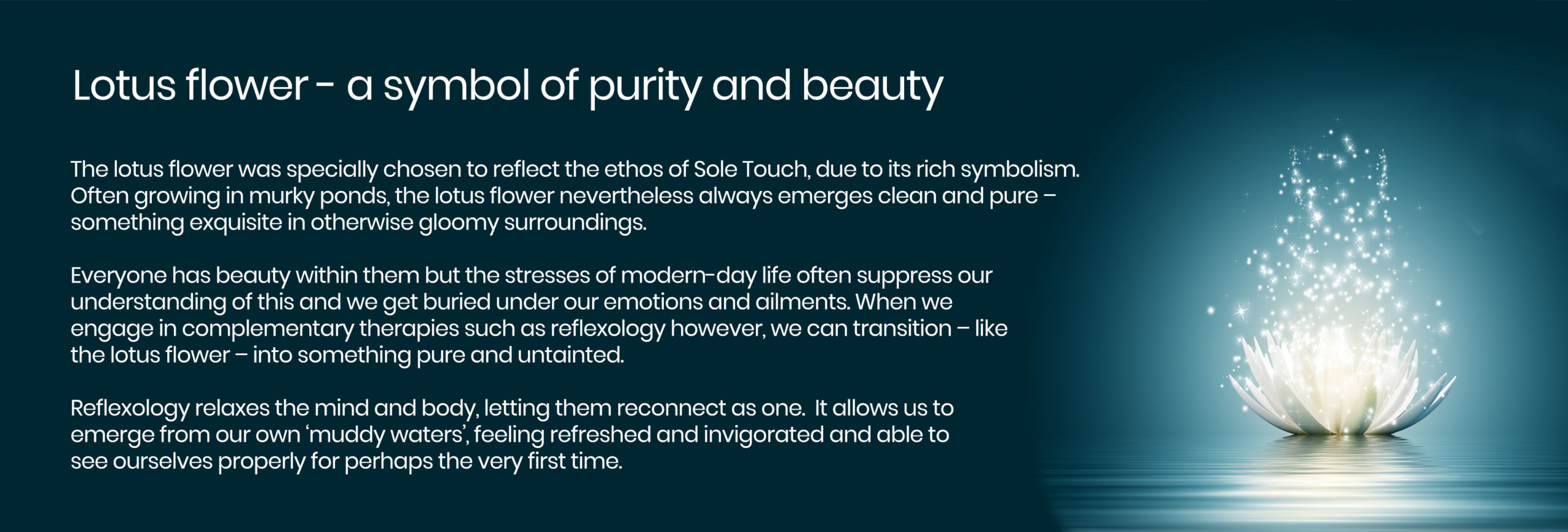 Sole Touch - Beauty | Health | Wellness